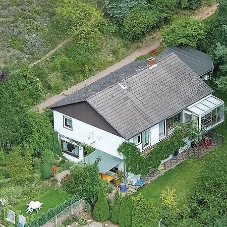 Amazing Apartment In Hinterweidenthal With Wifi Exterior foto